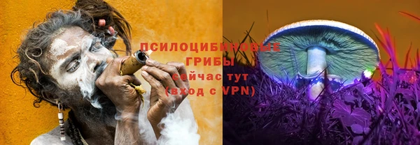 соль ск Абинск